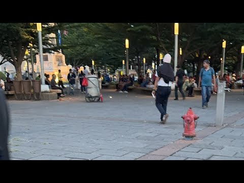 🛑Así están las cosas en la plaza , feliz tarde ⏰