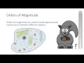 Understanding Orders of Magnitude