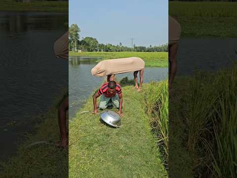 What is inside the pot?