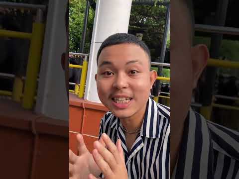 Serem Cobain Roller Coaster