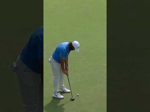 the fly 😎 #shorts