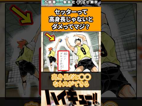 セッターって高身長じゃないとダメってマジ？#ハイキュー #ハイキュー反応集 #shorts