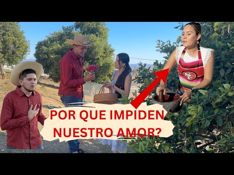 Chencho se Llevó a Martina (La Novela)