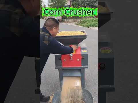 Modern Electric Corn Crushing Machine | Efficient Feed Maker 2025#livestockfeed #farmequipment