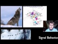 Biology Essentials: Information Exchange Between Organisms