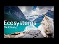 Understanding Ecosystems and Their Factors