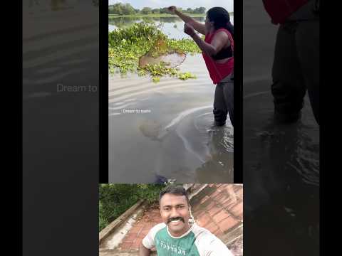 Would you come to such a large lake with a small net and insult us? #dreamtoswim #shorts