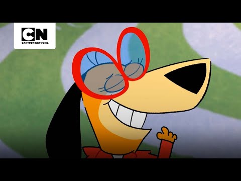 DESCUBRIENDO EL MUNDO JELLYSTONE | JELLYSTONE! | CARTOON NETWORK