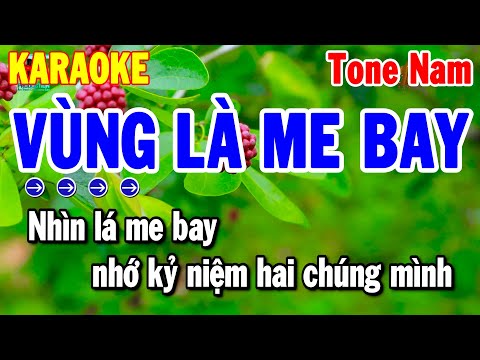 Vùng Lá Me Bay Karaoke Tone Nam Nhạc Sống Chuẩn Rumba Dễ Hát | Thanh Hải