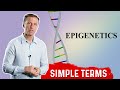 Gene Expression and Epigenetics Concepts