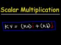 Vector Operations and Scalar Multiplication