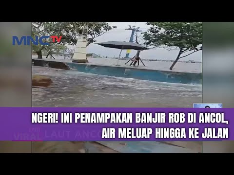 Viral! Air Laut di Ancol Meluap Hingga ke Area Jalan - LIS 17/12