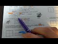 Bikini Bottom Genetics Concepts
