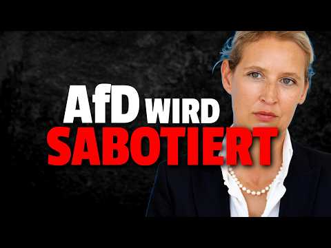 💥Oberbürgermeister Kandidaten wollen AfD von Wahlkampf AUSSCHLIEßEN