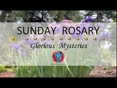 Sunday Rosary • Glorious Mysteries of the Rosary ❤️ July 13, 2025 - Multiple Languages Available!