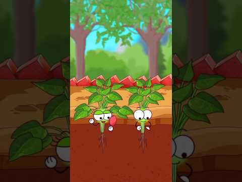 আমার গাছে বড় আলু ধরবে😡cartoon/tiktok/bhoot/tuni #short