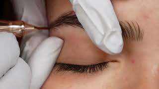 🔥 Hair Strokes: El Secreto de unas Cejas Hiperrealistas | Curso Online Oficial de AC Academia