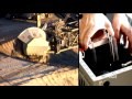 Earth's Natural Resources and Sustainability