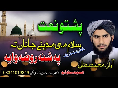 new pashto naat 2024 by mohammad adnan