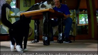 Mailbag 2025-08-16: Newsbag, Jumper & New Momcat update