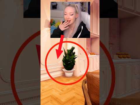 I DRESSED UP AS A PLANT🪴!!! #roblox #funny #dresstoimpress #dresstoimpressroblox #dti #vip #prank