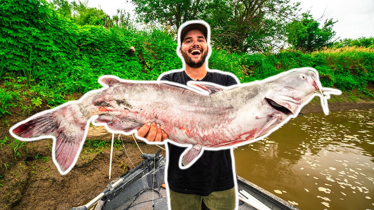 NASTY River Monster CATFISHING!