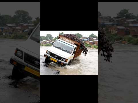 Jamun se bhara truck nadi me girne se bacha #viralvideo #trendingshorts #trending #shorts #funny