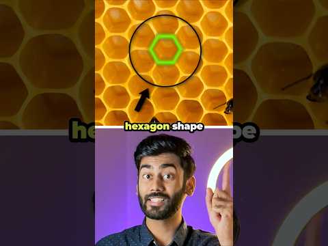 Why honeycombs are hexagonal #shorts #interestingfacts