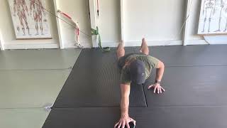 Multidirectional shoulder sliders | shoulder rehab exercise
