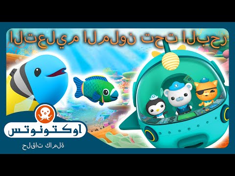 أوكتونوتس | 🌈 التعليم الملون تحت البحر! 🌊 | حلقات مجمعة