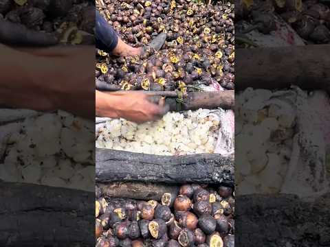 proses pengolahan buah kolang kaling #kolangkaling #fruit