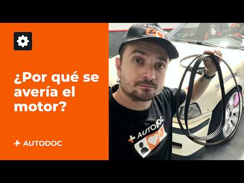 5 causas principales por las que falla el motor | AUTODOC