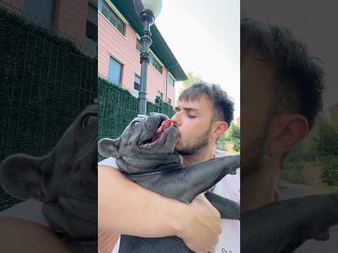 Cuando paseas a tu PERRO…🐶❤️ #humor #comedia #short