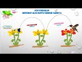 Types of Pollination and Their Agents