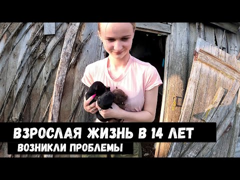 ОСТАЛИСЬ ВДВОЕМ  С ПАПОЙ! НЕ ДЕТСКИЕ ПРОБЛЕМЫ!