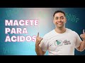 Relação entre Ácidos e Vogais