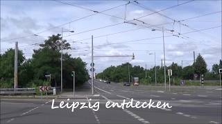 Spaziergang von der Panitzstr. bis zum Adler, Klein-Zschocher - Leipzig-SW