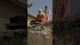 Pazarlık Kızıştı #ArzuFilm #KibarFeyzo #KemalSunal #ŞenerŞen #Adilenaşit #MüjdeAr