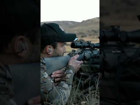 "Alpine Ibex Hunt | Fast Kill at Close Range"#IbexHunting#AlpineIbex#MountainHunting#HuntingLife