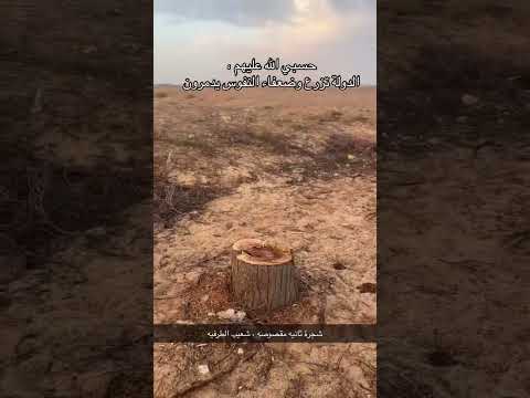 #احتطاب #جائر #شعيب #الطرفيه #القصيم #بريدة #حائل#عنيزة #البكيرية #الرس #شقراء#المذنب #اشيقر #الرياض