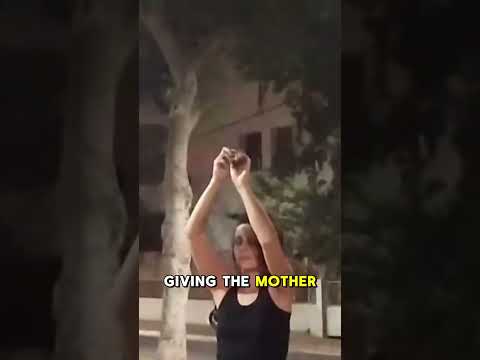 Woman saves a baby bat with her bare hands #shorts #animals #wildlife