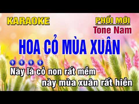 Hoa Cỏ Mùa Xuân Karaoke Tone Nam (D) Beat Chuẩn | Trung Hiếu Karaoke