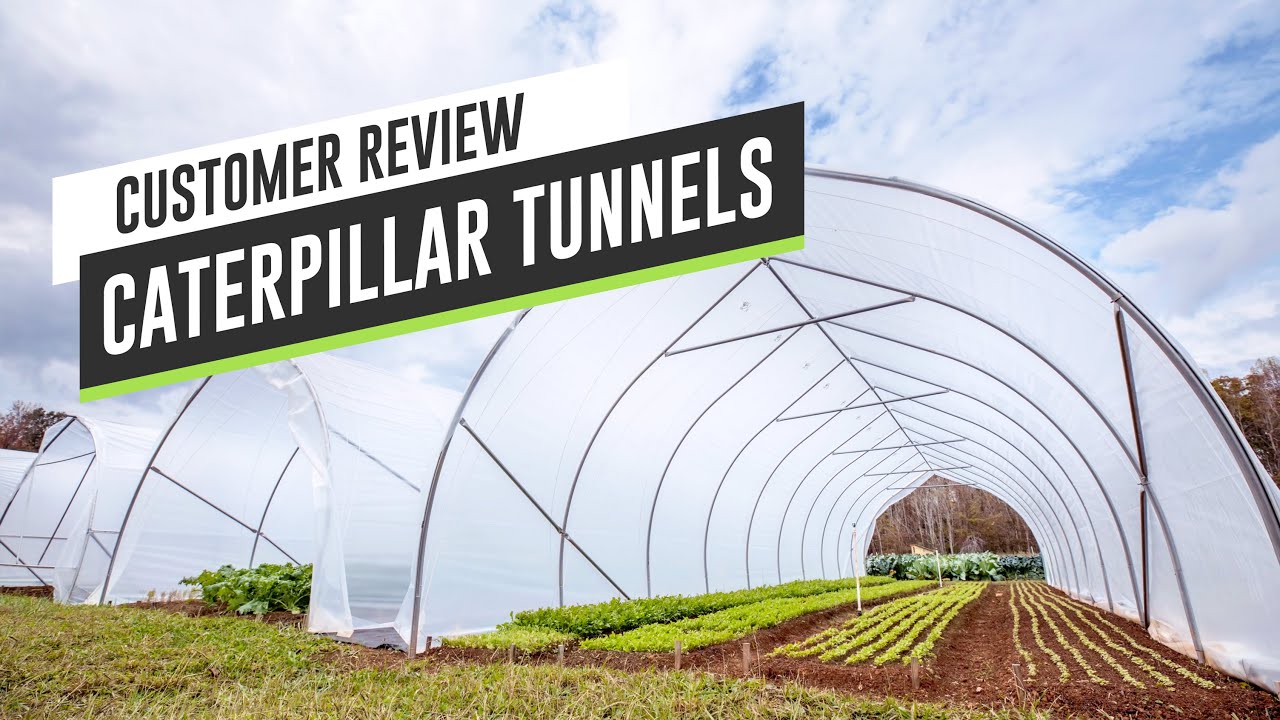 What Customers are saying about Caterpillar Tunnels
