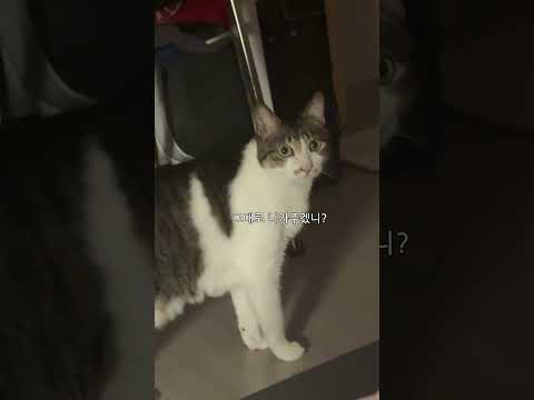 여전히 새벽마다 악귀 들림