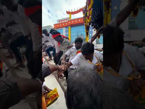 பிரம்மாண்டமான திருவண்ணாமலை தேருக்கு உலுக்கை கட்டை போடும் அற்புத காட்சி…