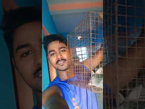 কালুকে ওর প্রেমিকার সামি দমে কেলিয়েছে😢