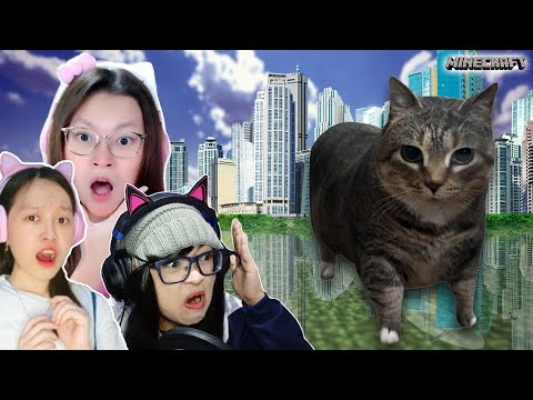 FANNY TJANDRA DAN KEIKEI DAN WINDIA NATA DITANGK4P OIIA CAT MEME KUCING AKMAL ?!!