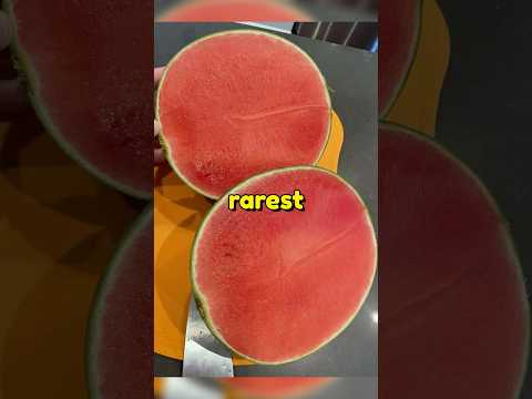 The Rarest Food Glitches 😱