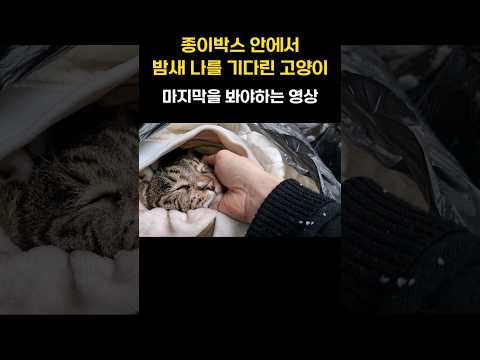눈물 나게 짠하다가 마지막에...😂