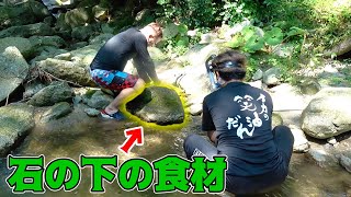 おっちゃんの山の川で石をひっくり返すと・・・？